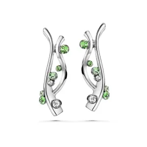 Aquatic Earrings