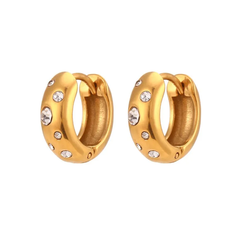 Popular Light Luxury Earrings Jewelry Stainless Steel Niche round Coarse Bread Zircon Earrings